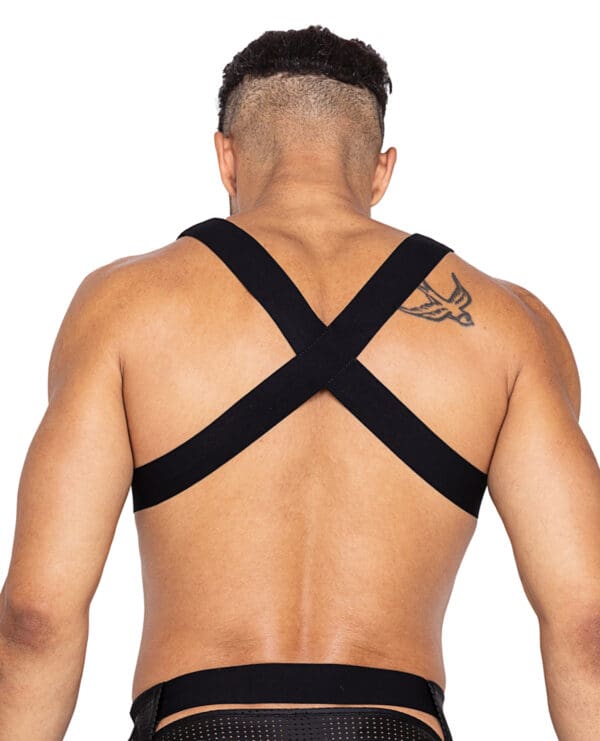 Master Harness w/Hook & Ring Closure Black LG - Image 2