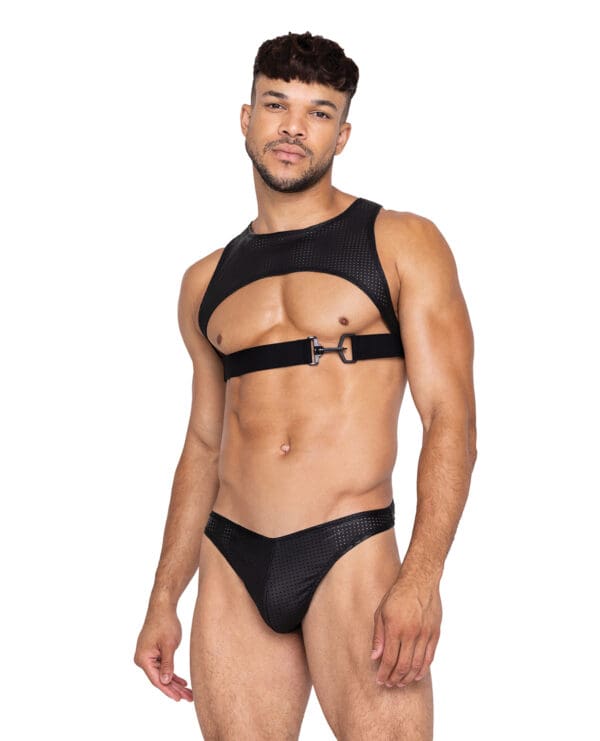 Master Harness w/Hook & Ring Closure Black LG - Image 3
