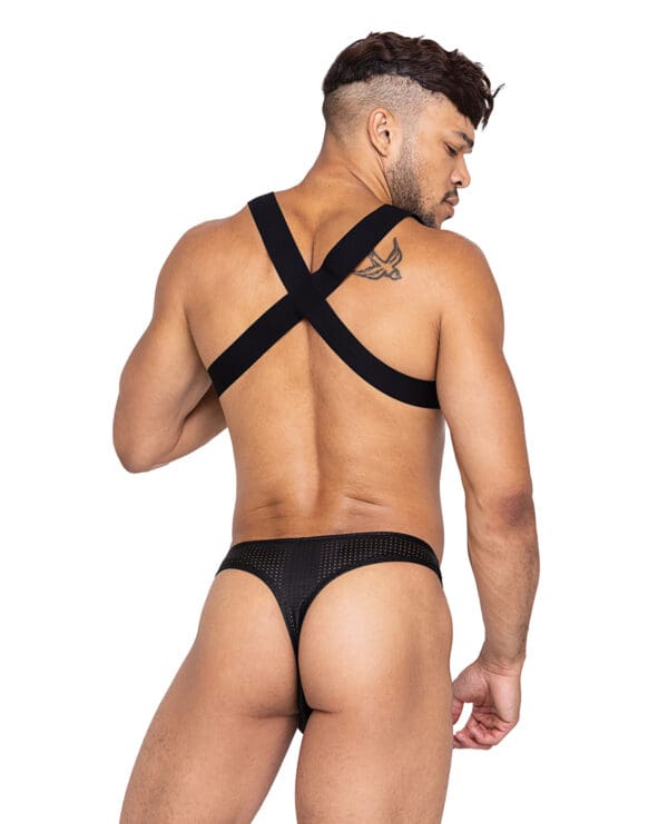 Master Harness w/Hook & Ring Closure Black LG - Image 4