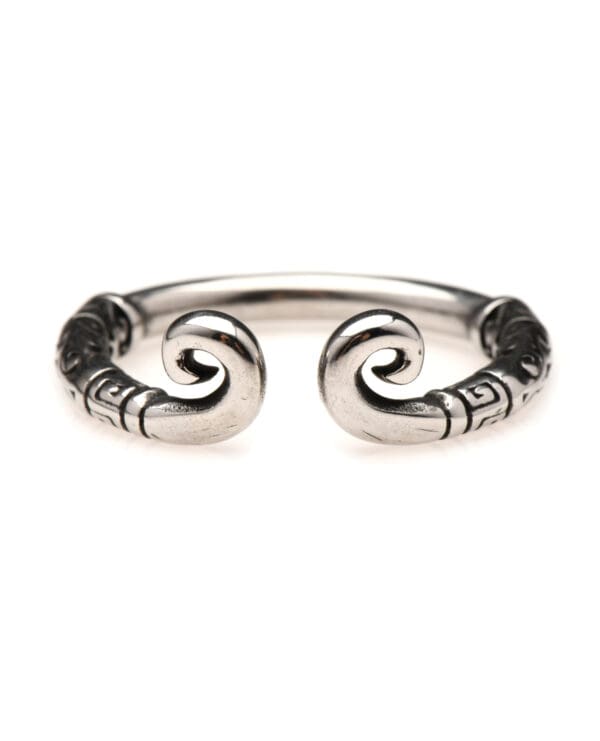 Master Series Kingpin Stainless Steel 24mm Glans Ring - Image 2