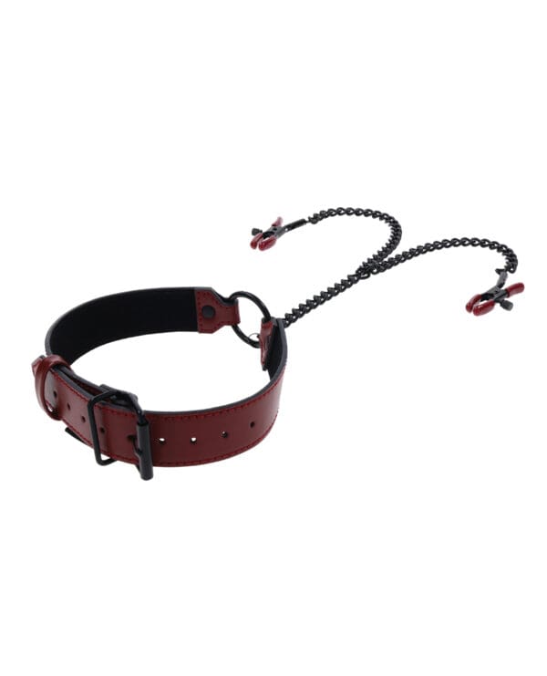 Saffron Collar w/Chain Nipple Clamps - Image 4