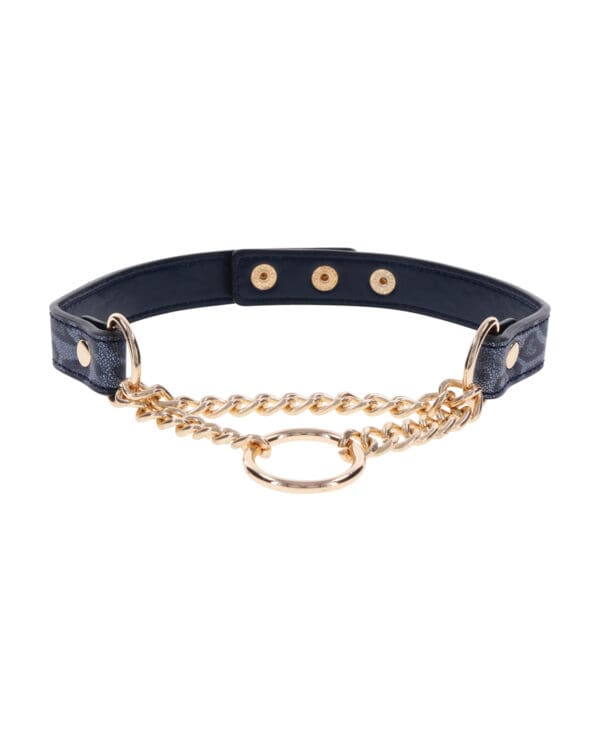 Cougar Day Collar - Image 2