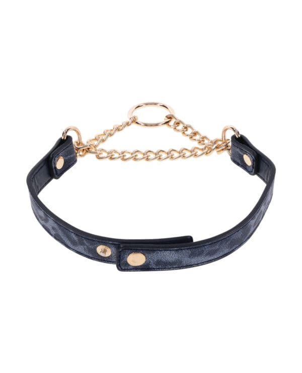 Cougar Day Collar - Image 3