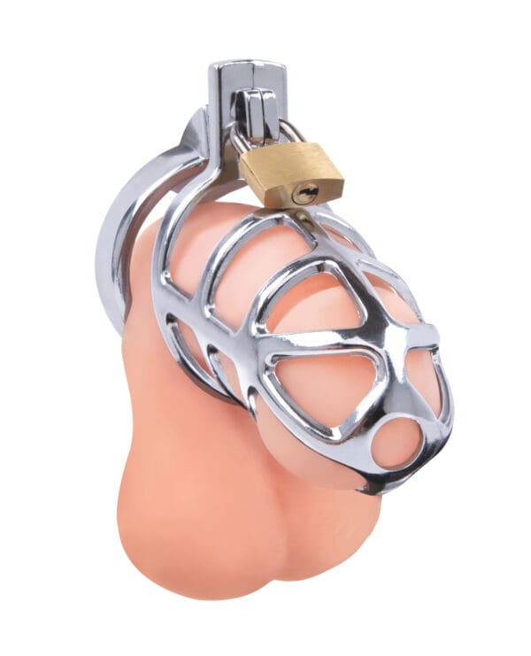 Lockmaster 3.75" Stainless Steel Prisoner Cock Cage - Silver - Image 2