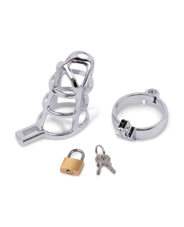 Lockmaster 3.75" Stainless Steel Prisoner Cock Cage - Silver - Image 3