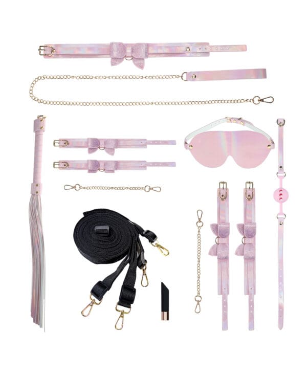 Shots Ouch! Paris Collection Bondage Kit w/Bag - Pink - Image 4