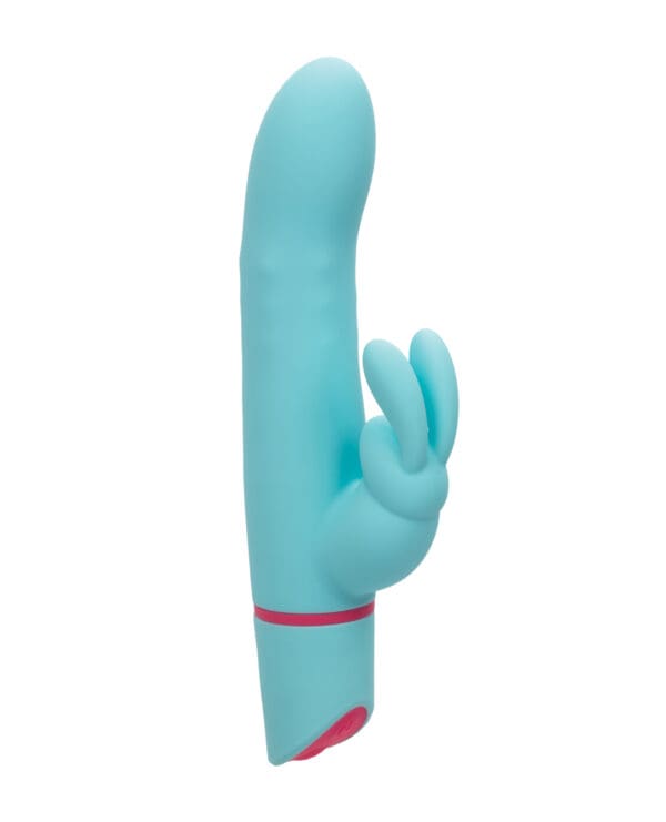 Love Bunny Rotating Bunny - Blue - Image 2