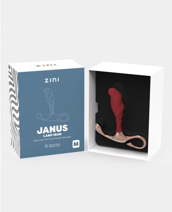 Zini Janus Lamp Iron - Medium Maroon - Image 3