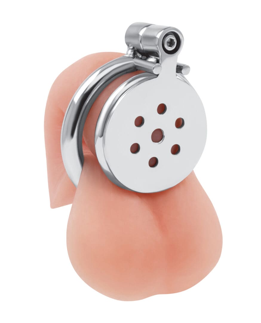 Lockmaster Stainless Steel Flat Inverted Chastity Cage - Silver - Image 2
