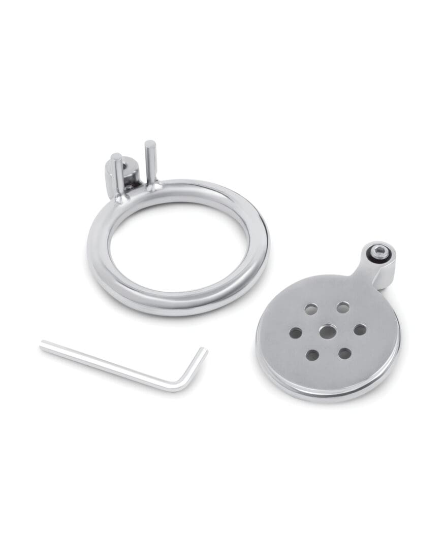 Lockmaster Stainless Steel Flat Inverted Chastity Cage - Silver - Image 3