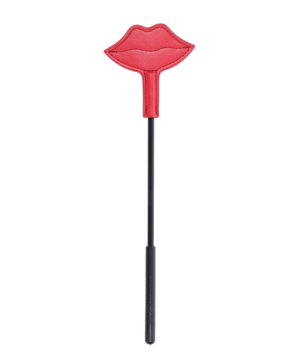 Sex & Mischief Ex's & Oh's Kiss Kit - Red/Black - Image 5