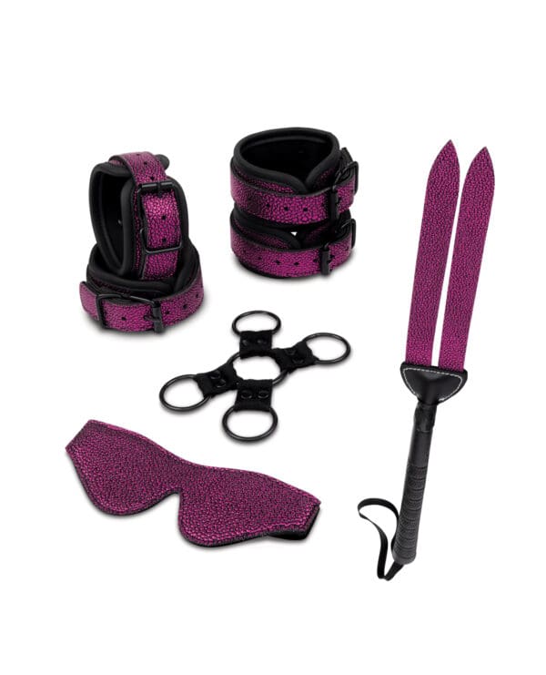 WhipSmart Dragon's Lair Bondage 7 Piece Kit - Image 2