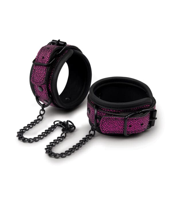 WhipSmart Dragon's Lair Deluxe Wrist or Ankle Cuffs - Image 2