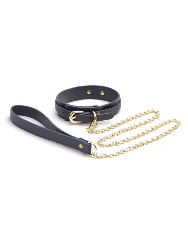 Bondage Couture Vinyl Collar and Leash - Blue - Image 2
