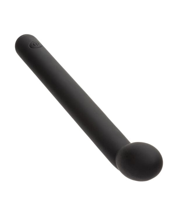 Dr. Joel Kaplan Rechargeable Prostate Massager - Black - Image 3