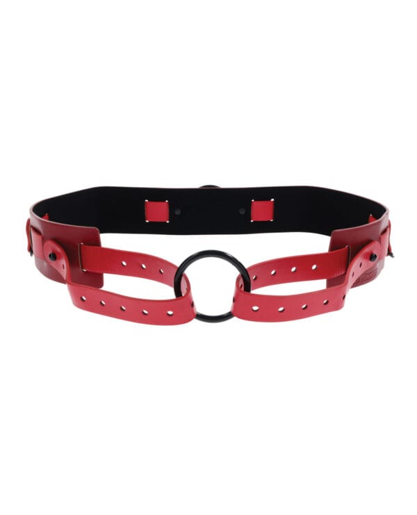 Sex & Mischief Ex's & Oh's Bound & Belted - Red/Black - Image 2