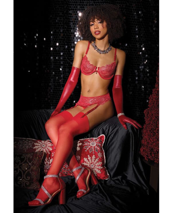Metallic Stretch Lace Underwire Bra w/Crotchless Garter Panty - Red LG - Image 3