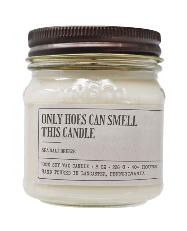 Only Hoes Can Smell This Candle - Funny Candle 8oz Soy Wax