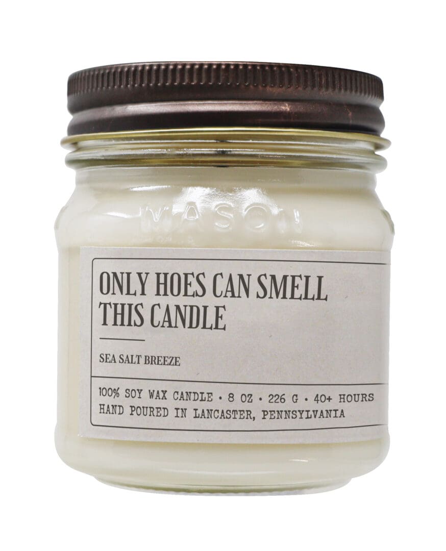 Only Hoes Can Smell This Candle - Funny Candle 8oz Soy Wax