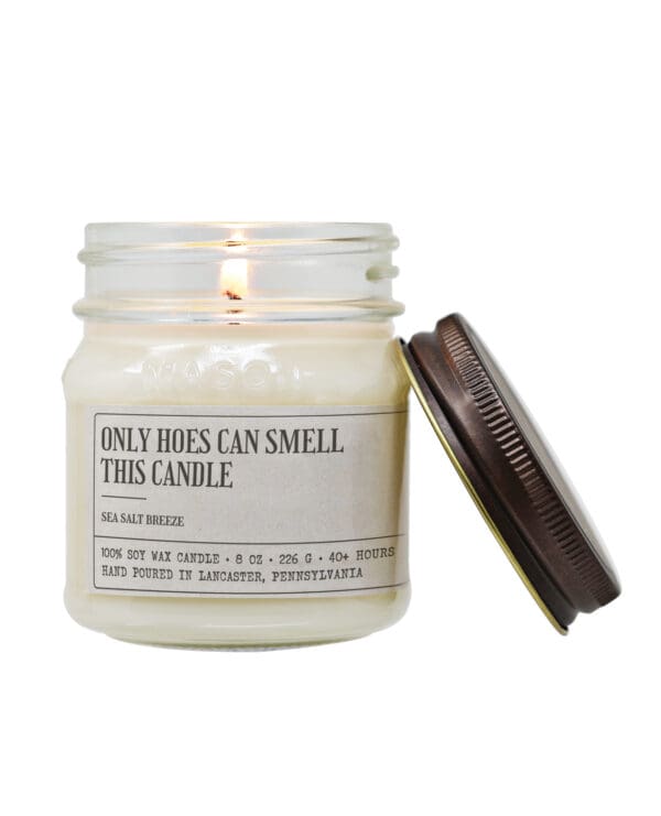 Only Hoes Can Smell This Candle - Funny Candle 8oz Soy Wax - Image 3