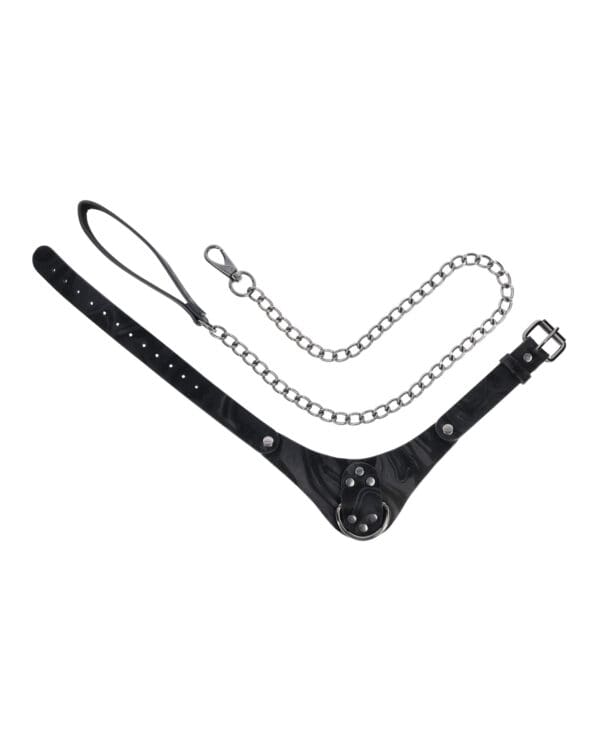Sportsheets Velvet Noir Collar & Leash - Black - Image 4
