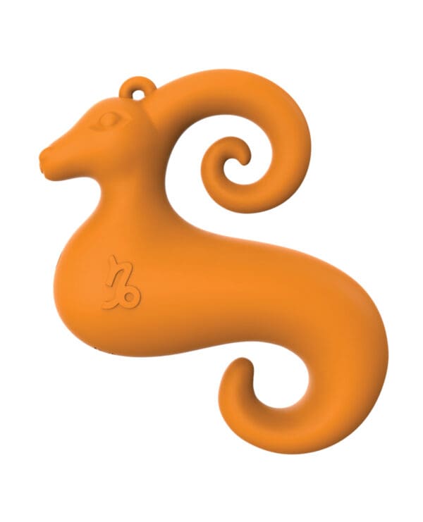 Zodiac Capricorn Mini Vibe - Orange - Image 2