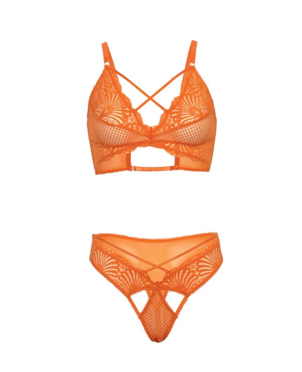 Amina Scallop Lace & Mesh Bralette w/Panty 2 pc Set - Dragon Fire Orange L/XL - Image 4
