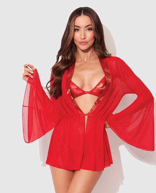 Dragon Sheer Mesh Robe w/Satin Triangle Top & G-String 3 pc Set - Red MD