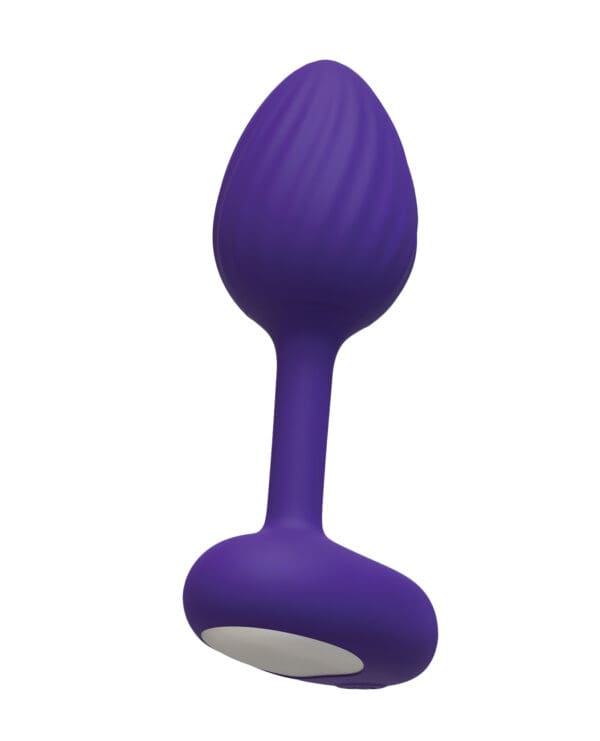 Luv Inc. Luv Plug - Small Purple - Image 2