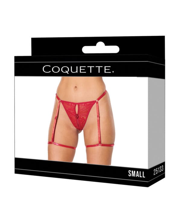Lace Thong w/Garters and Bow Detail - Red SM - Image 4