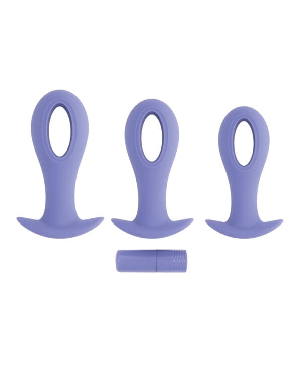 Evolved Hole Punch Anal Plug Set - Purple  Set of 3 - Image 4