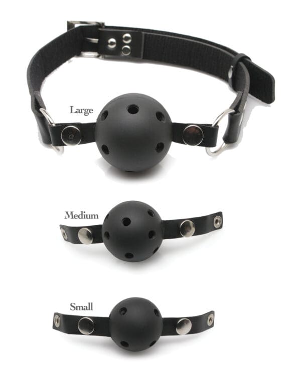 Fetish Fantasy Series Ball Gag Training Kit - Image 2