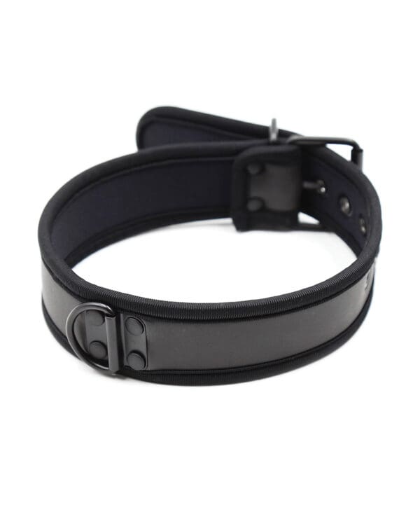 Plesur Neoprene Puppy Collar - Black - Image 2