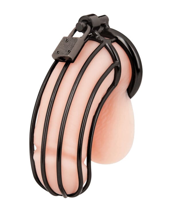 Blue Line Prisoner Cock Cage - Black - Image 2