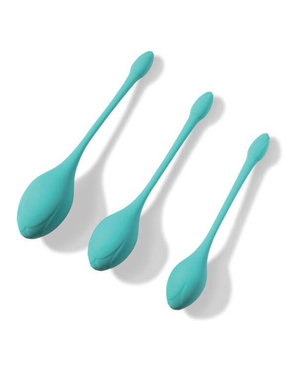 Bluebell Floral 3 Size & Weight Kegel Ball Exercise Set - Blue - Image 2