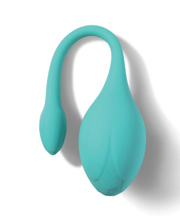 Bluebell Floral 3 Size & Weight Kegel Ball Exercise Set - Blue - Image 3