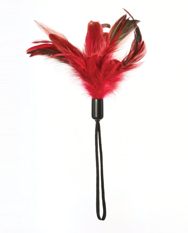 Pleasure Feather - Rose - Image 2