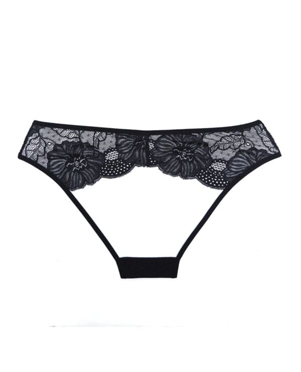 Adore Kiss Mesh & Lace Open Panty Black O/S - Image 4