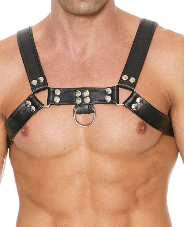 Shots Uomo Chest Bulldog Harness Small/Medium - Black - Image 2