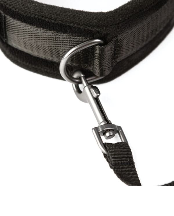 Sei Mio Take the Lead Padded Neck Collar & Leash - Black - Image 4