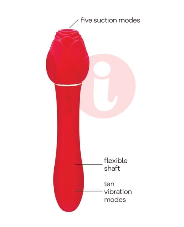 Wild Rose & Vibrator - Red - Image 2