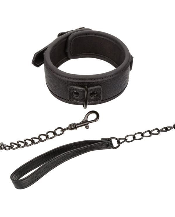 Nocturnal Collection Detachable Collar & Leash - Black - Image 2