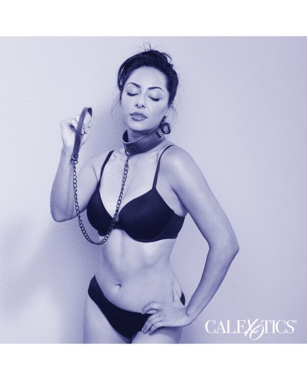Nocturnal Collection Detachable Collar & Leash - Black - Image 3