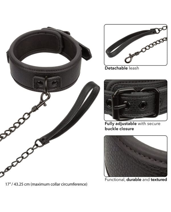 Nocturnal Collection Detachable Collar & Leash - Black - Image 4