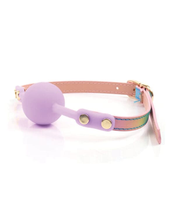 Hello Sexy! Gag Order - Iridescent Rainbow - Image 3