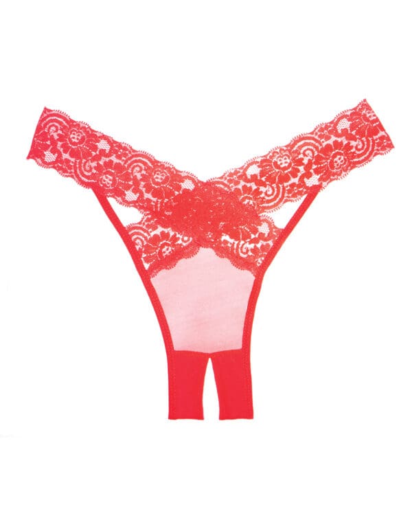 Adore Sheer & Lace Desire Panty Red O/S - Image 2