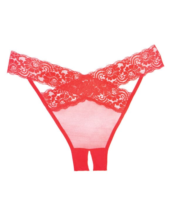 Adore Sheer & Lace Desire Panty Red O/S - Image 3