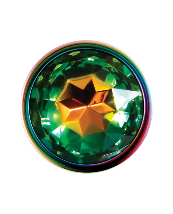 Evolved Rainbow Metal Plug - Small - Image 5