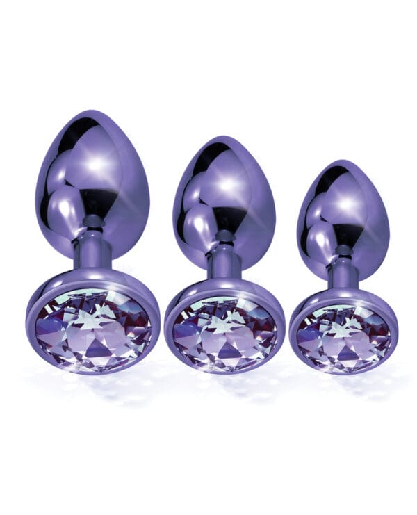 Nixie Metal Butt Plug Trainer Set w/Inlaid Jewel - Purple Metallic - Image 3