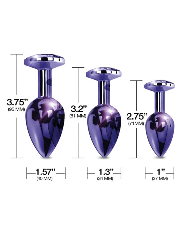 Nixie Metal Butt Plug Trainer Set w/Inlaid Jewel - Purple Metallic - Image 4